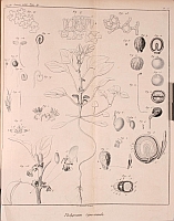  no thumbnail available