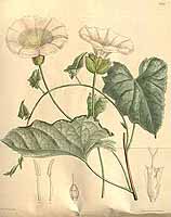  no thumbnail available