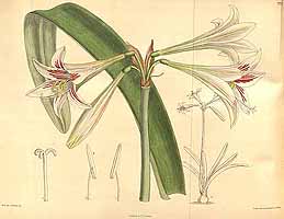  no thumbnail available