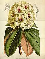  no thumbnail available