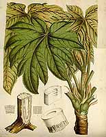  no thumbnail available