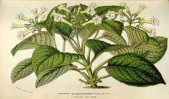  no thumbnail available