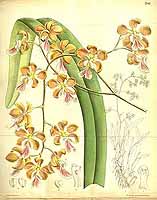  no thumbnail available