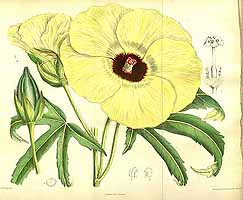  no thumbnail available