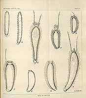  no thumbnail available