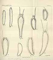  no thumbnail available