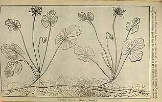  no thumbnail available