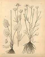  no thumbnail available