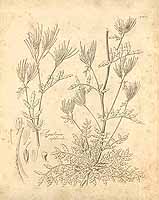  no thumbnail available