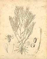  no thumbnail available