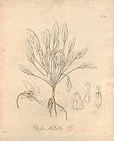  no thumbnail available