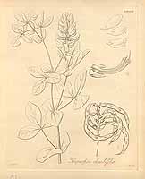  no thumbnail available