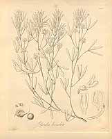  no thumbnail available