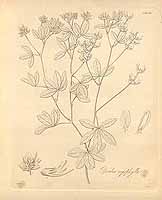  no thumbnail available