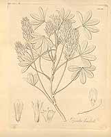  no thumbnail available