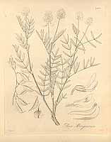  no thumbnail available