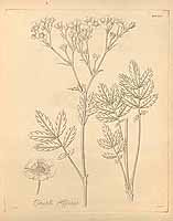  no thumbnail available