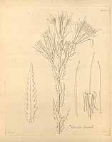  no thumbnail available