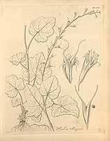  no thumbnail available