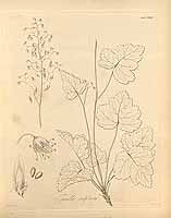  no thumbnail available