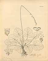  no thumbnail available