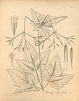  no thumbnail available