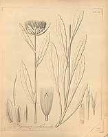  no thumbnail available