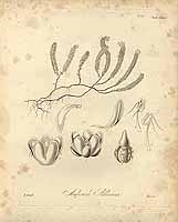  no thumbnail available