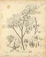  no thumbnail available