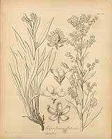  no thumbnail available