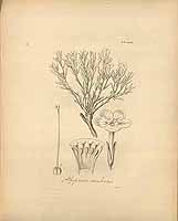  no thumbnail available