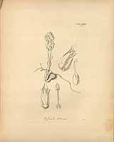  no thumbnail available