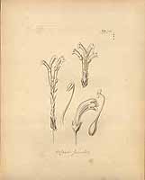  no thumbnail available