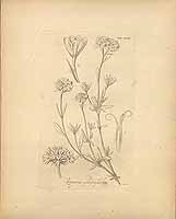  no thumbnail available