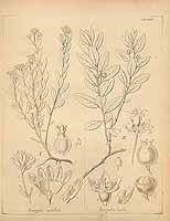  no thumbnail available