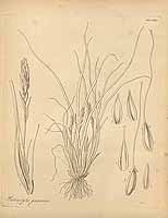  no thumbnail available