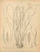  no thumbnail available