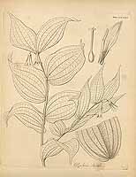  no thumbnail available