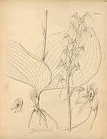  no thumbnail available