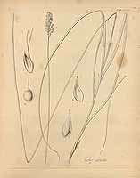  no thumbnail available