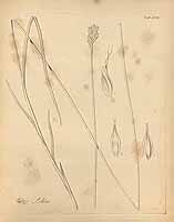  no thumbnail available