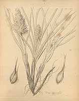  no thumbnail available