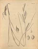  no thumbnail available