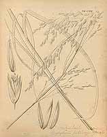  no thumbnail available