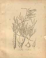  no thumbnail available