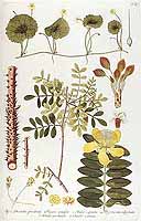  no thumbnail available