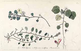  no thumbnail available