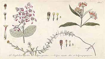  no thumbnail available