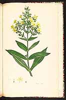  no thumbnail available