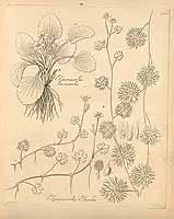  no thumbnail available